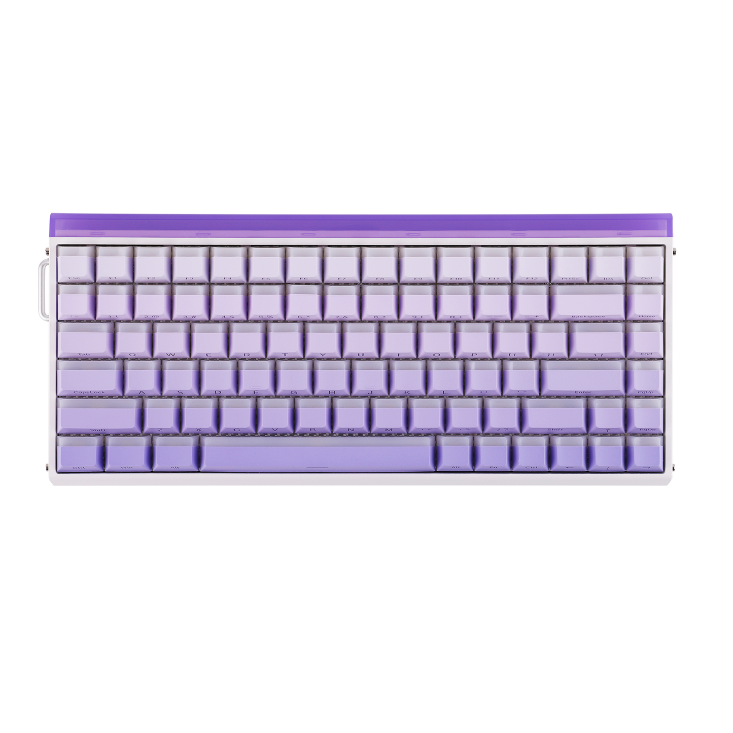 AULA Purple HE