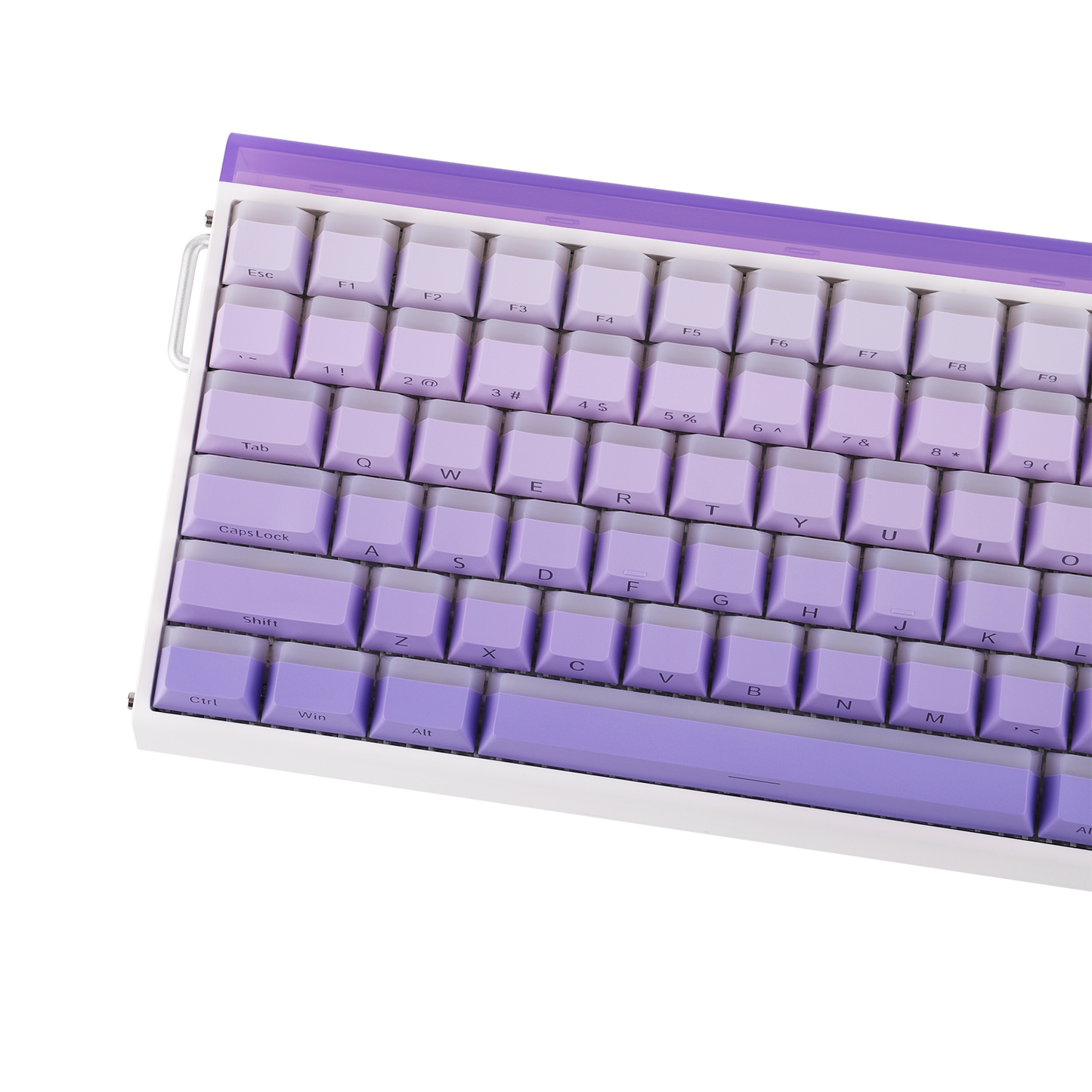 AULA Purple HE