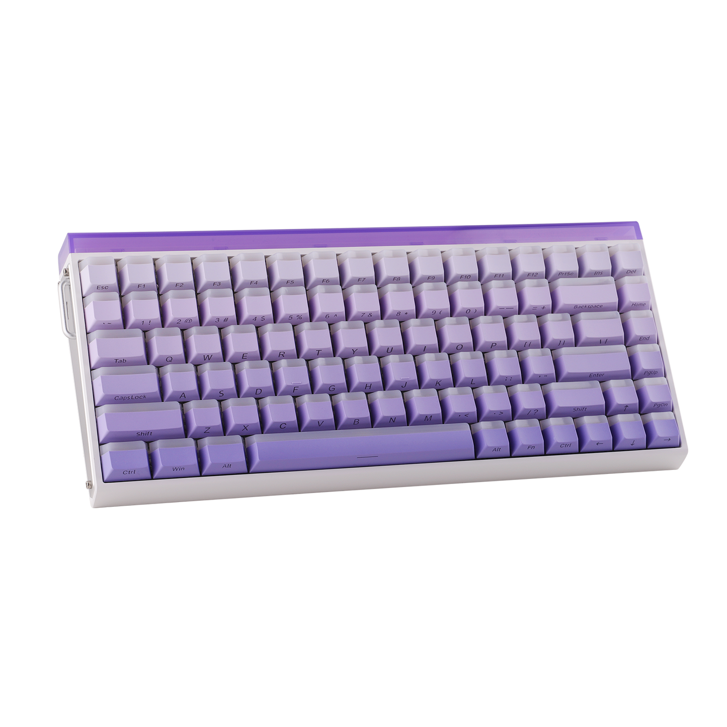 AULA Purple HE