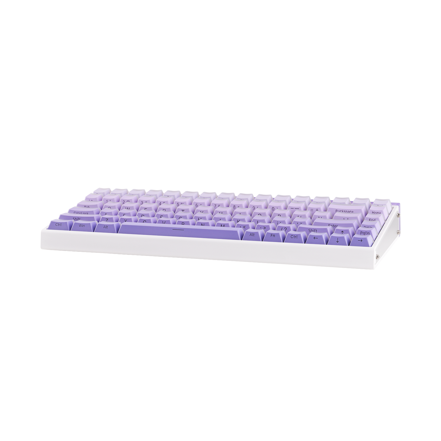 AULA Purple HE