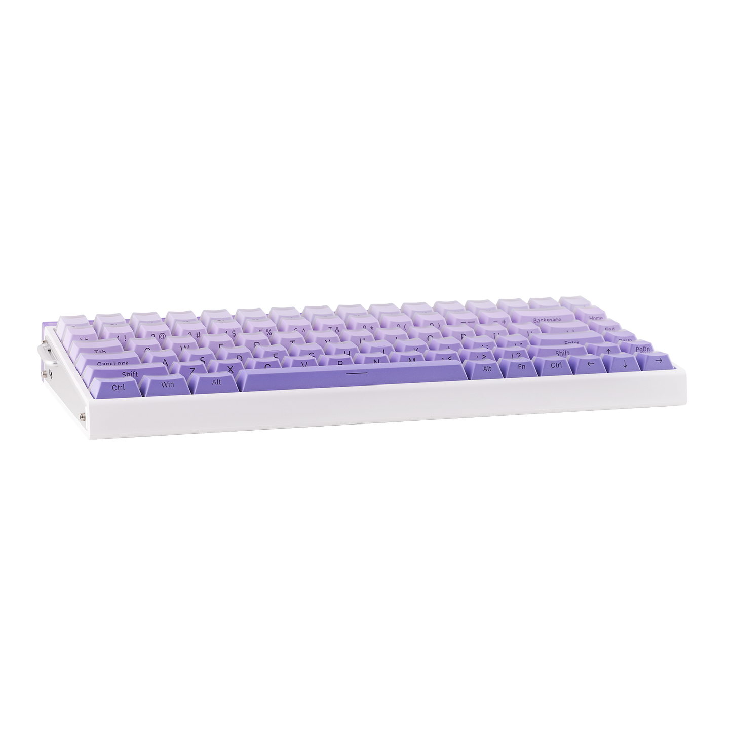 AULA Purple HE