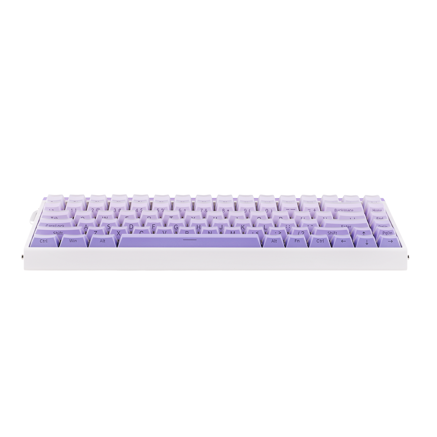 AULA Purple HE