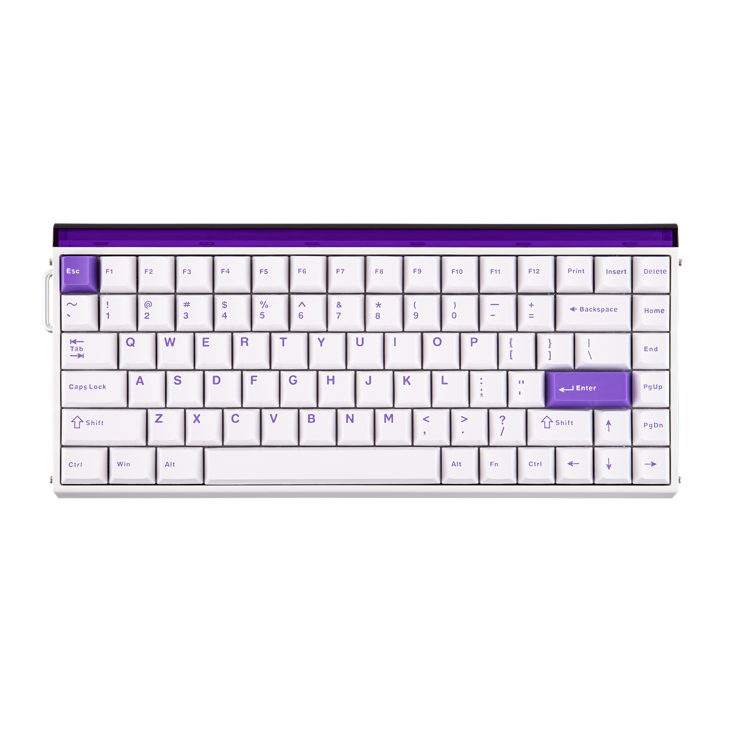 AULA Purple HE