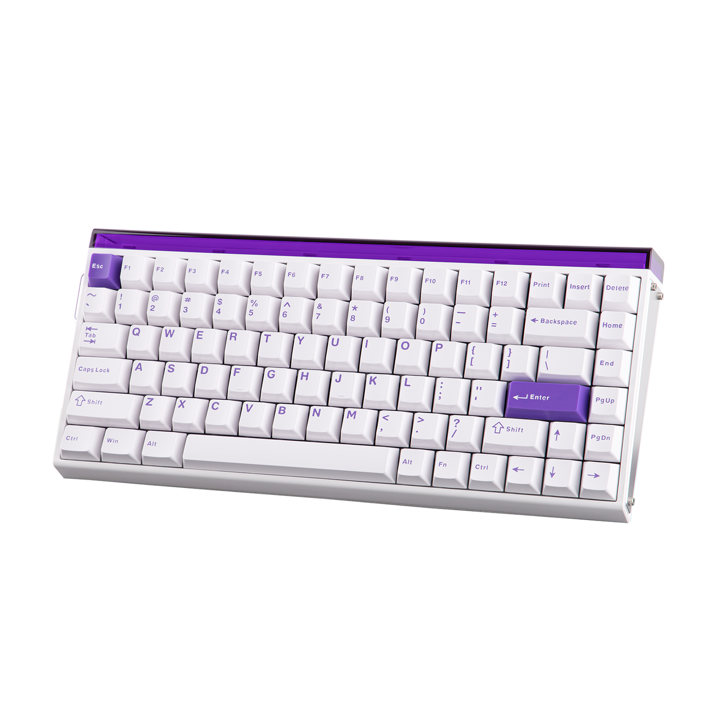 AULA Purple HE