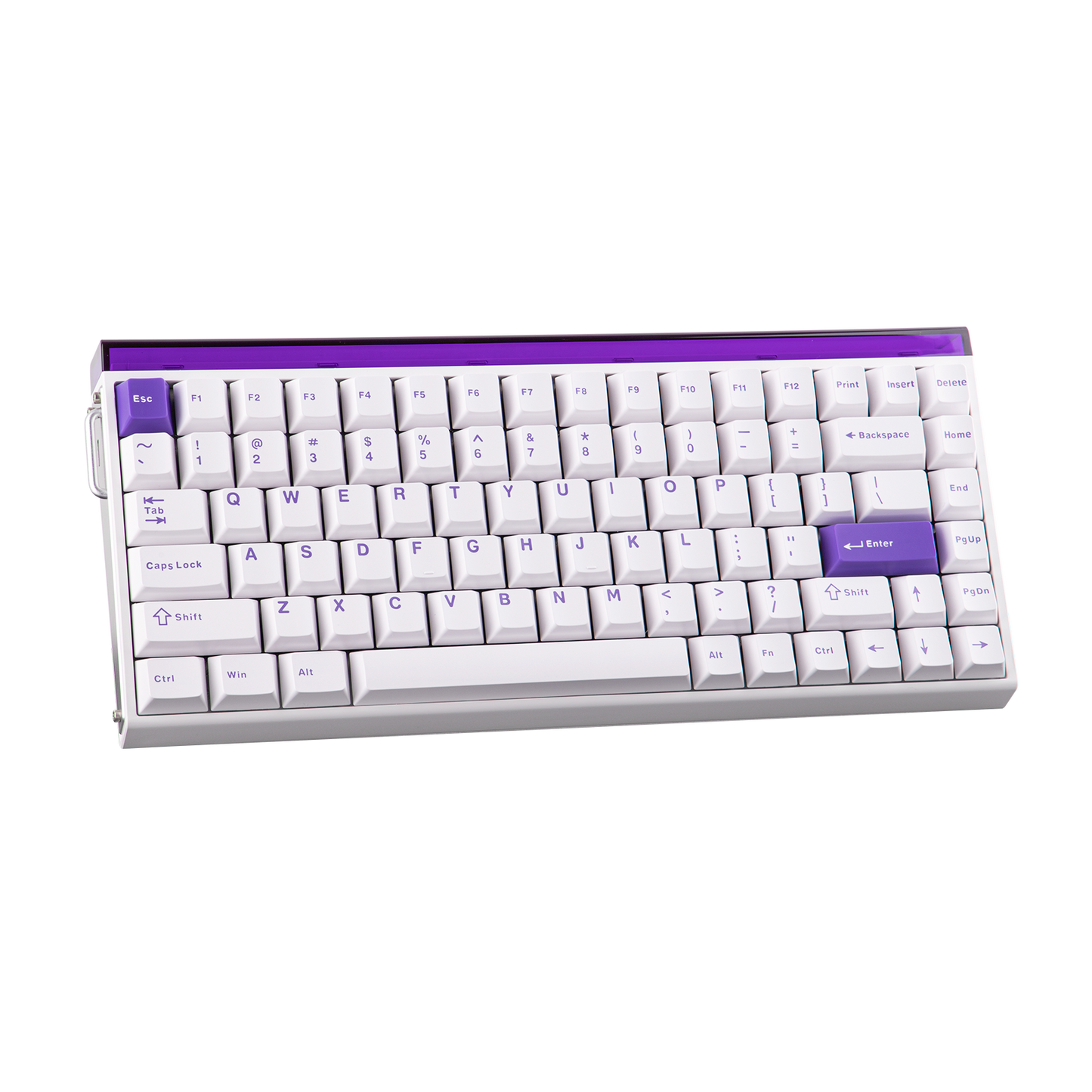 AULA Purple HE