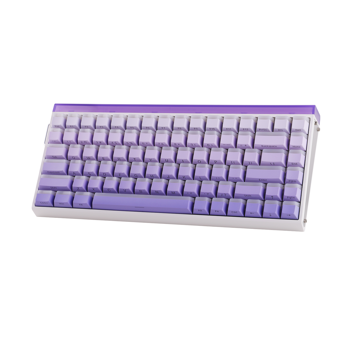 AULA Purple HE