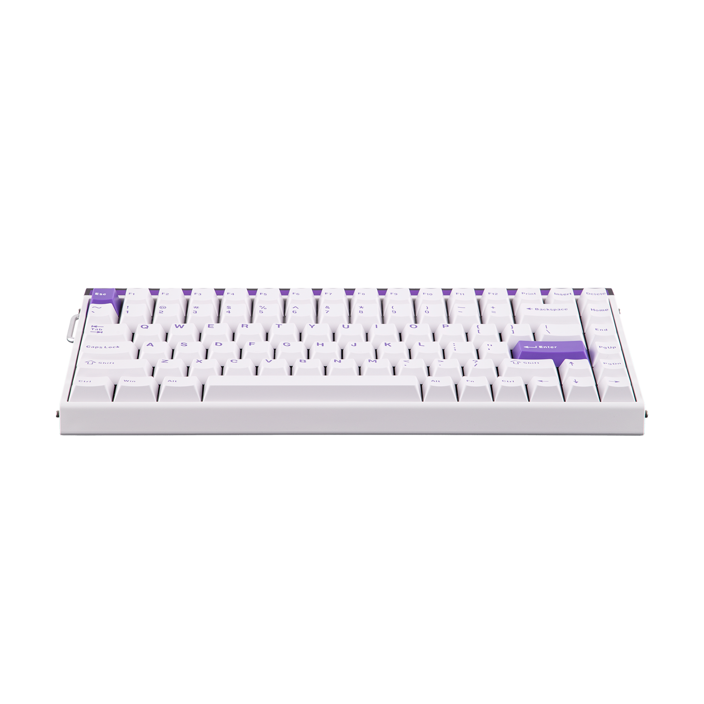 AULA Purple HE