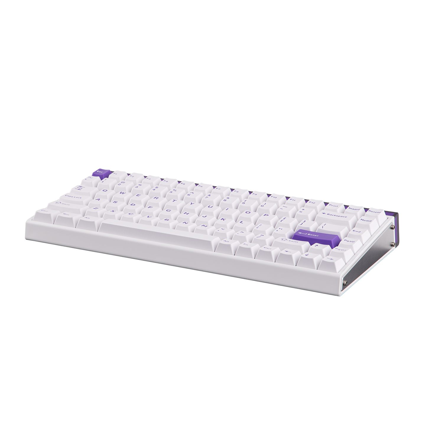 AULA Purple HE