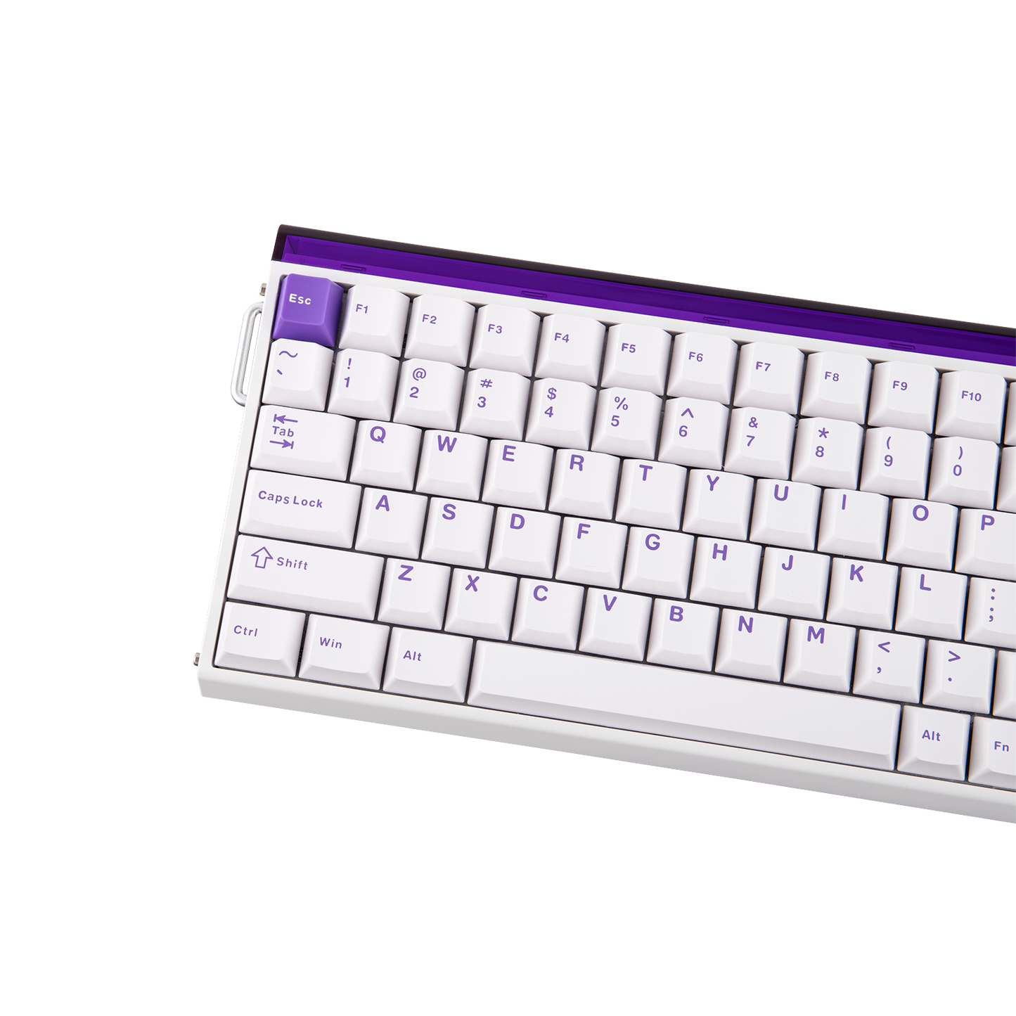 AULA Purple HE