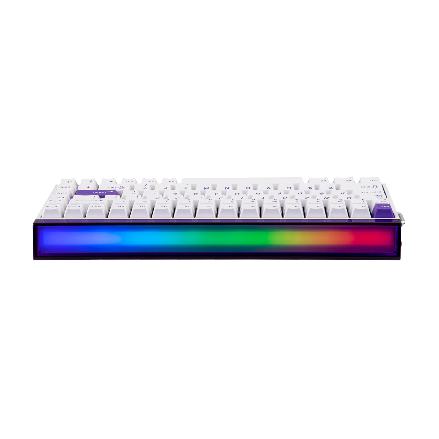 AULA Purple HE