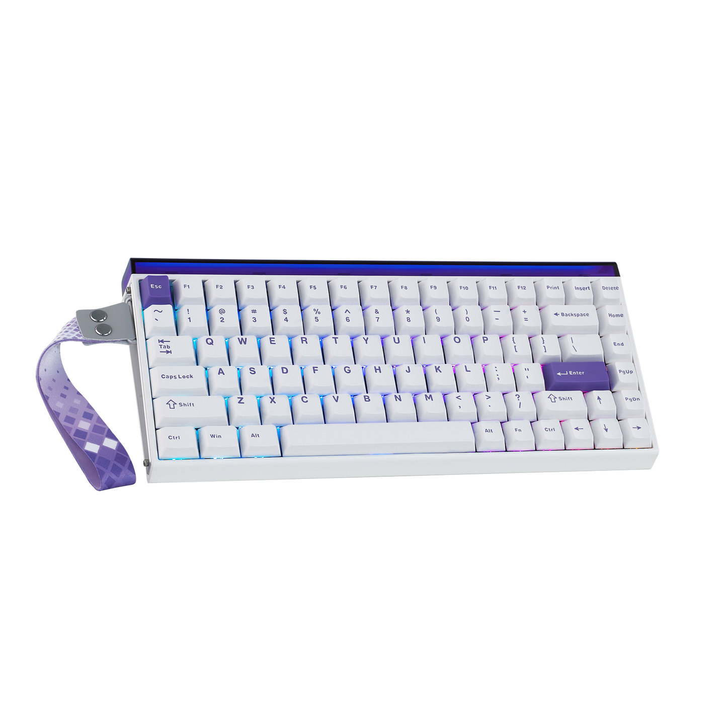 AULA Purple HE