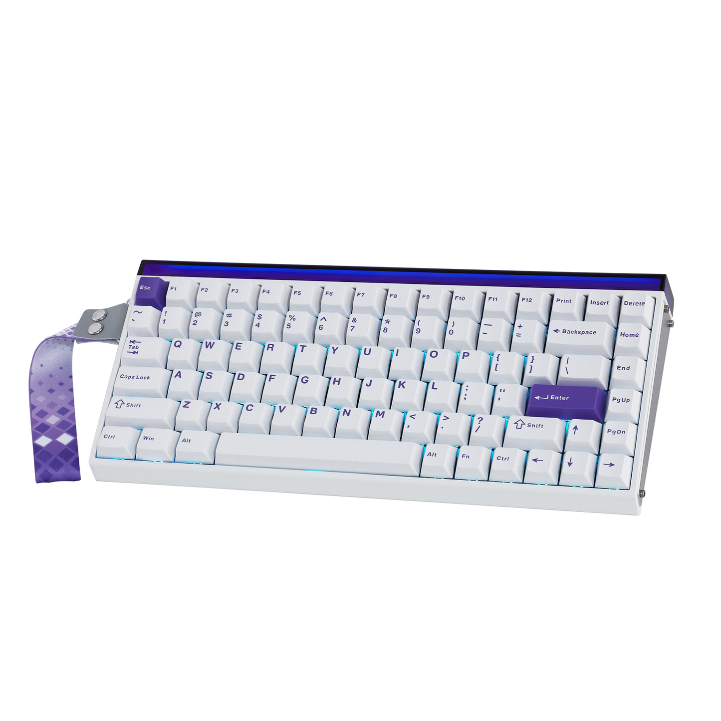 AULA Purple HE