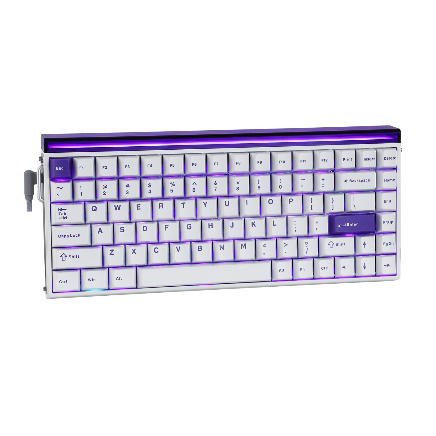 AULA Purple HE