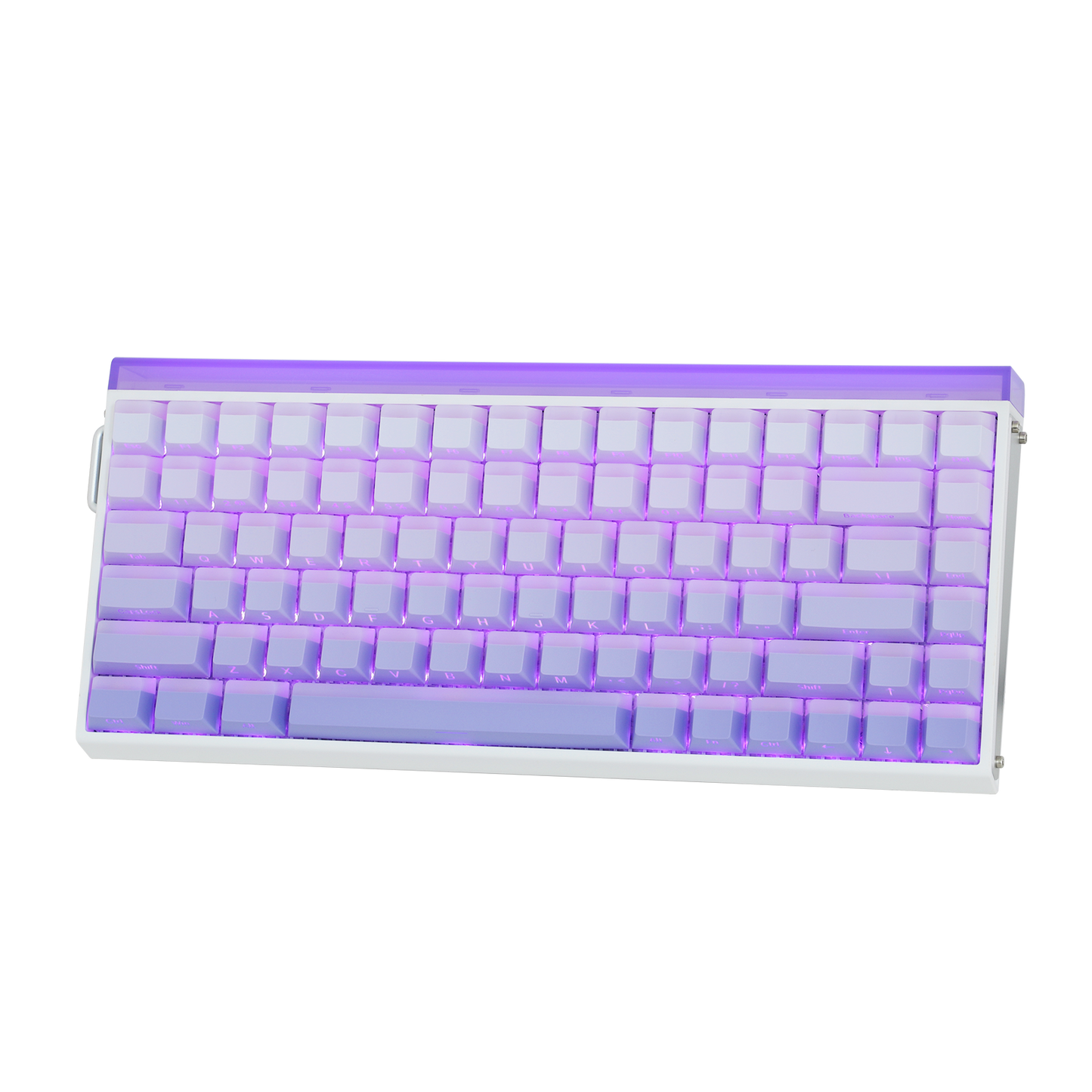 AULA Purple HE