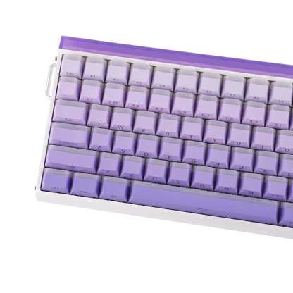 AULA Purple HE