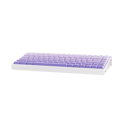 AULA Purple HE