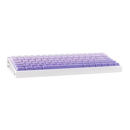 AULA Purple HE