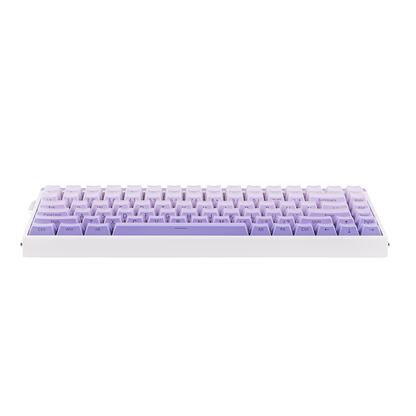AULA Purple HE
