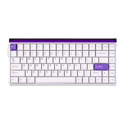 AULA Purple HE