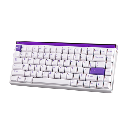AULA Purple HE