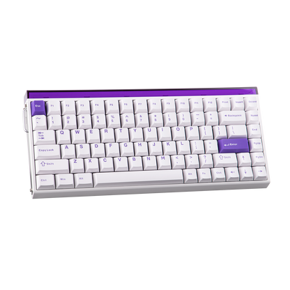 AULA Purple HE