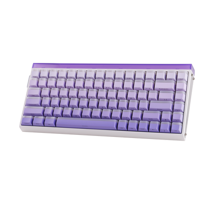 AULA Purple HE