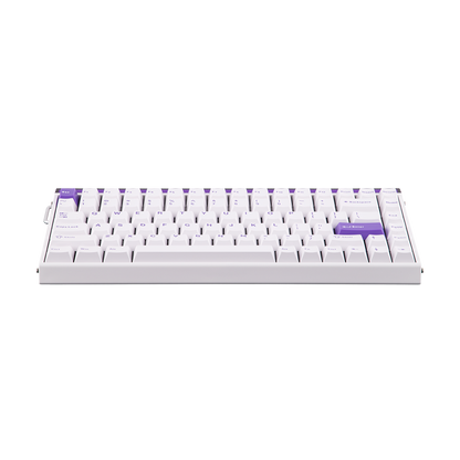 AULA Purple HE