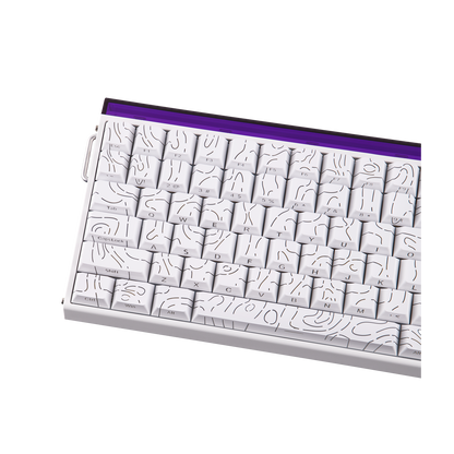 AULA Purple HE