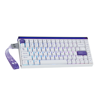 AULA Purple HE