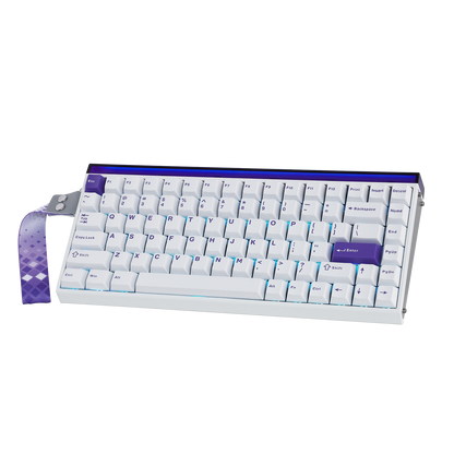 AULA Purple HE