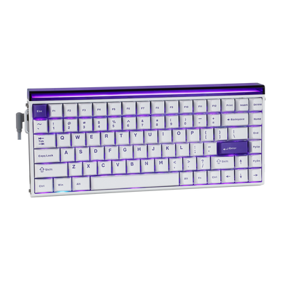 AULA Purple HE