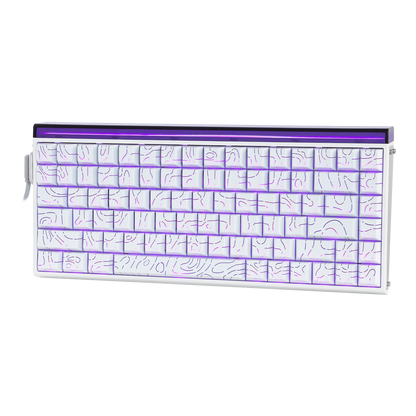 AULA Purple HE